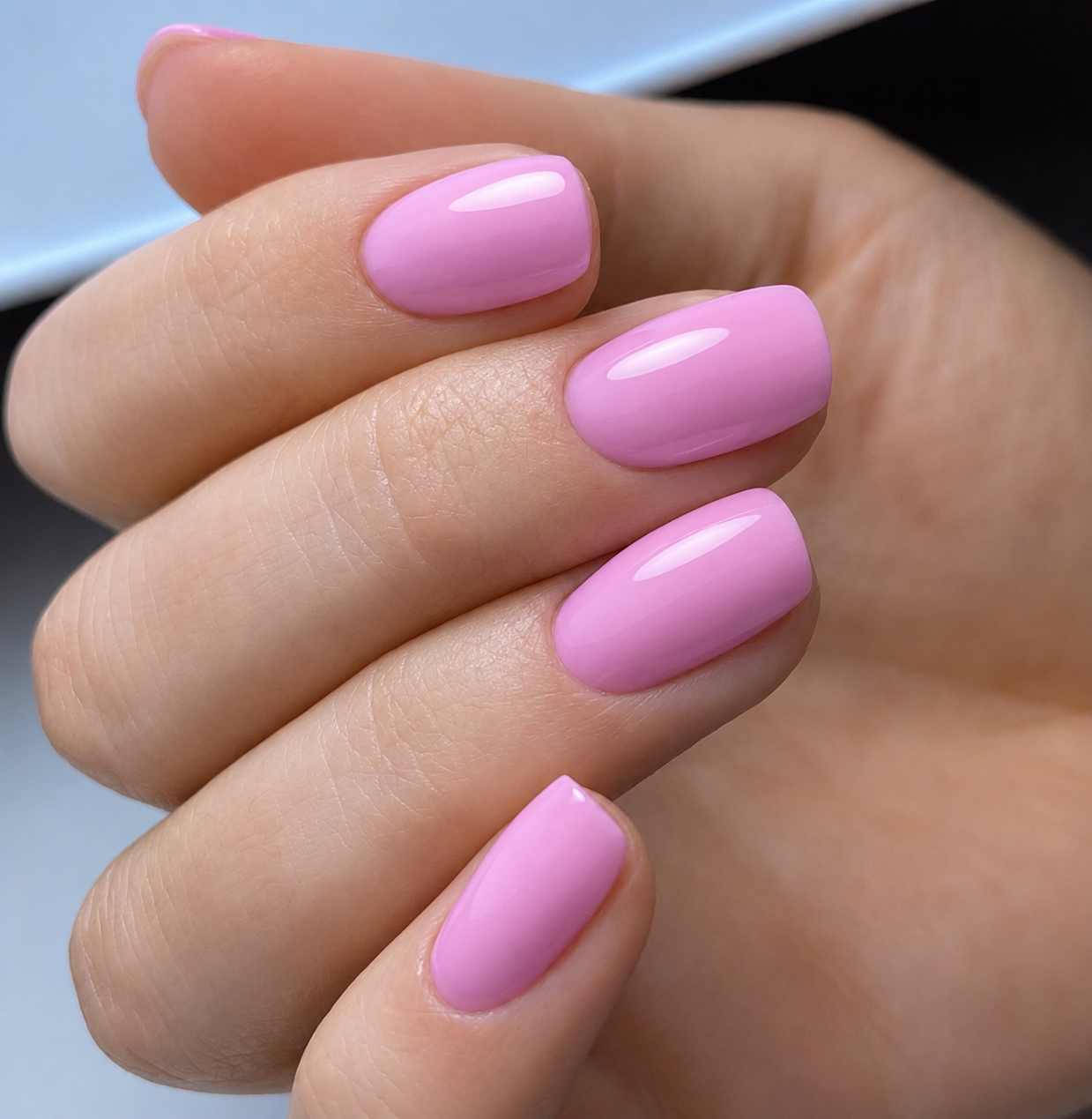 Portfolio Studio Blush