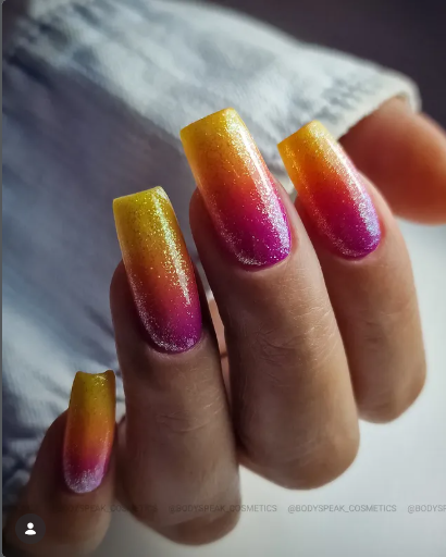 Portfolio Studio Blush
